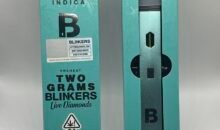Blinkers 2g Vape Disposable