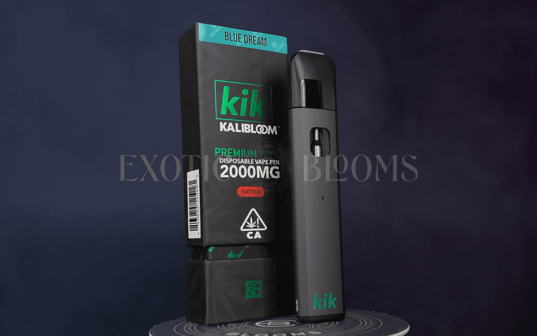 how long does blinker 2g last